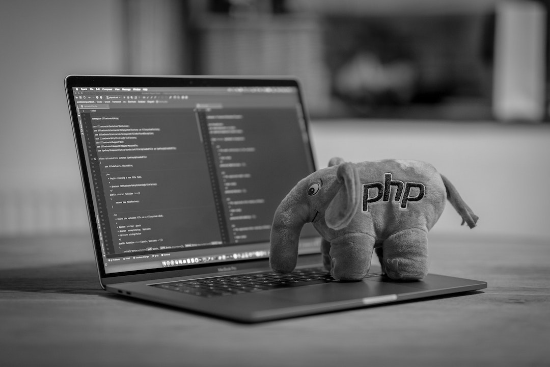 PHP Programmierer Greifswald